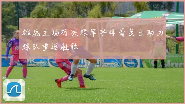 雄鹿主场对决绿军字母哥复出助力球队重返胜轨
